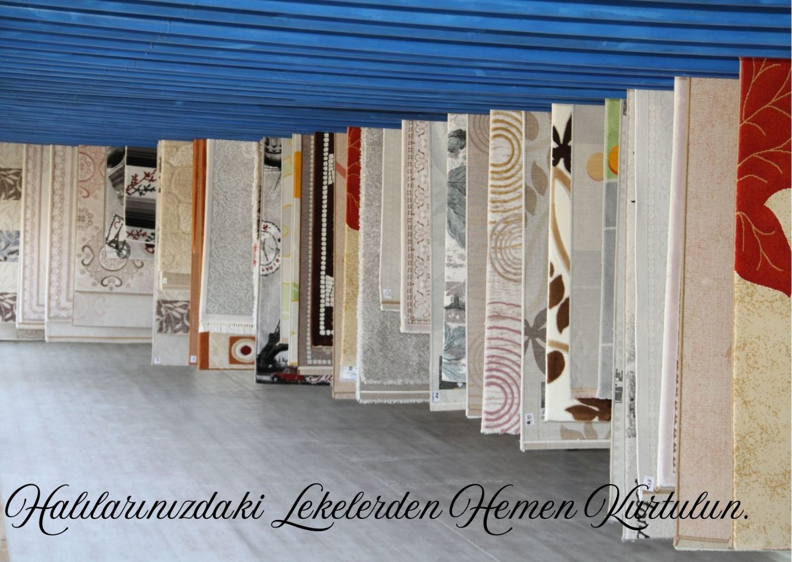 Değirmendere Halı Yıkama Firmaları